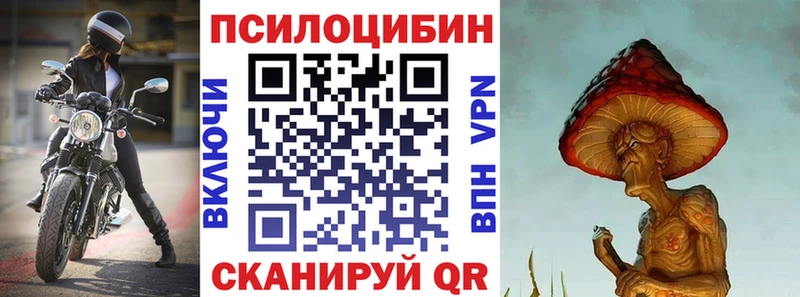 гидра ссылки Брянск Псилоцибиновые грибы мухоморы