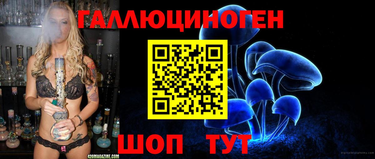 Галлюциногенные грибы Cubensis Брянск