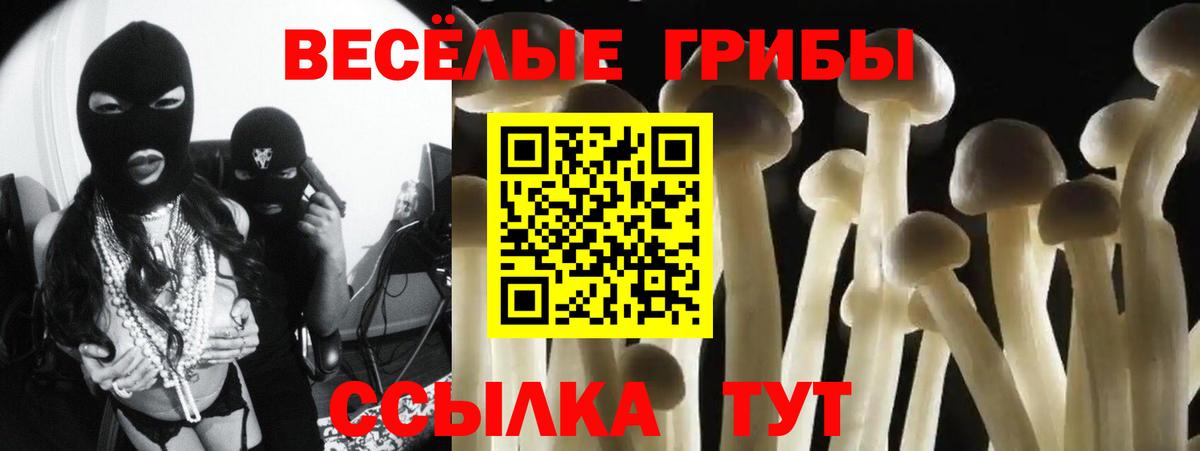 Псилоцибиновые грибы Psilocybe Брянск