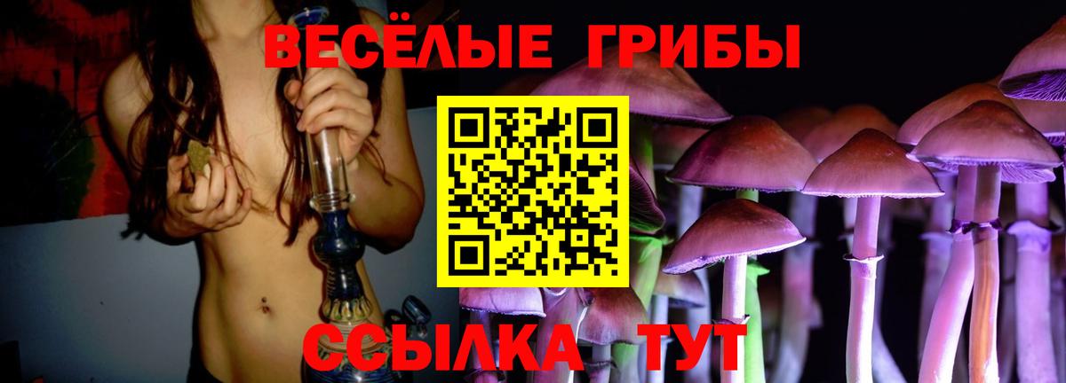 Галлюциногенные грибы мицелий  закладка  Брянск 