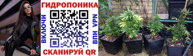 blacksprut зеркало  дарнет шоп  Брянск  Бошки марихуана Ganja 