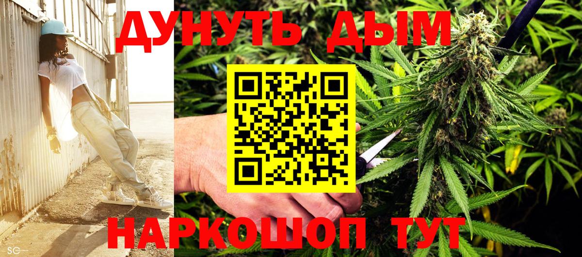 МАРИХУАНА семена Брянск